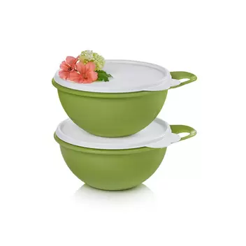 Thatsa® Mini Bowls Set of 2 offers at $12 in Tupperware