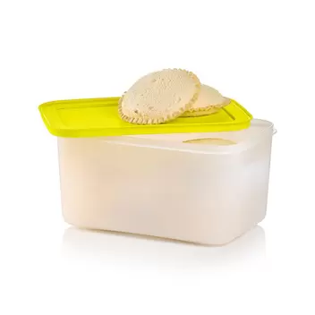 Freezer Mates® PLUS Medium Deep offers at $44 in Tupperware