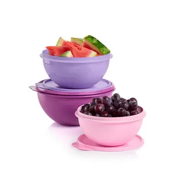 WONDERLIER 3-PC SET PURPLE offers at $37 in Tupperware