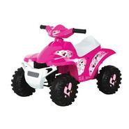 Rollplay 6V Owl Mini Quad, Pink offers at $89.98 in Toys R us