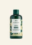Moringa Shine & Protection Shampoo offers at $14 in The Body Shop