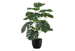 Indoor 24" Monstera Potted Plant offers at $36 in Surplus Furniture