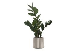 Indoor 20" Succulent Potted Plant offers at $34 in Surplus Furniture