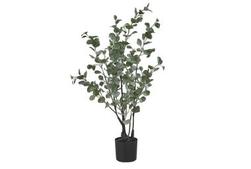 Indoor 35" Eucalyptus Potted Plant offers at $54 in Surplus Furniture