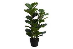 Indoor 32" Fiddle Potted Plant offers at $64 in Surplus Furniture