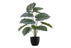 Indoor 24" Calathea Potted Plant offers at $36 in Surplus Furniture