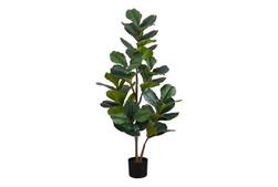 Indoor 49" Fiddle Potted Plant offers at $94 in Surplus Furniture