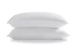 Standard 2-Pack Pillows offers at $24 in Surplus Furniture