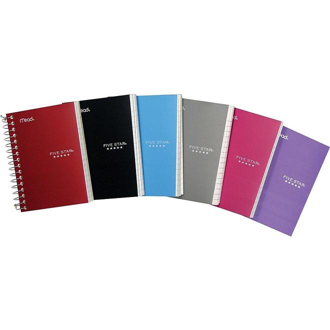 Fat Lil Notebook, 5-1/2" x 4-1/8", Assorted, 400 Pages offers at $4.89 in Staples