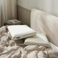 Silk & Snow Eco Soy Pillow offers at $189 in Sleep Country