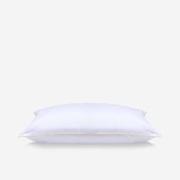 Fieldcrest® Luxury Microgel Pillow offers at $54.99 in Sleep Country