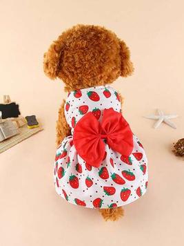 1pc Strawberry Print Bow Decor Pet Dress offers at $3.9 in SheIn