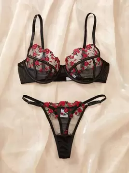 Women's Black & Red Embroidered Sexy Lingerie Set, 2pcs offers at $10.89 in SheIn