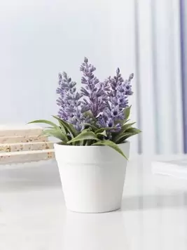 1pc/3pcs Artificial Lavender Desktop Mini Plant, Home Office Wedding Decoration offers at $3.23 in SheIn