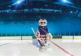 LNH(MD) Gardien de but des New York Rangers(MD) offers at $12.99 in Playmobil