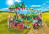 71380 - Starter Pack Jardin potager offers at $29.99 in Playmobil