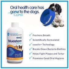Bluestem Oral Care Chicken Flavor Water Additive for Cats & Dogs offers at $28.67 in Petland