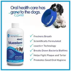 Bluestem Oral Care Original Flavor Water Additive for Cats & Dogs offers at $25.47 in Petland