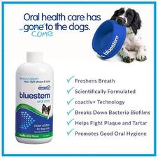 Bluestem Oral Care Vanilla Mint Flavor Water Additive for Dogs offers at $27.87 in Petland