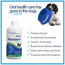 Bluestem Oral Care Vanilla Mint Flavor Water Additive for Dogs offers at $28.97 in Petland