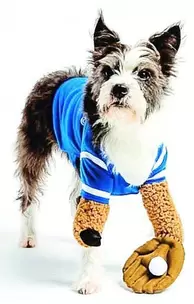 Blue Jays Reality 3D Outfit / Dog Jersey offers at $52.97 in Petland