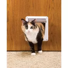 PetSafe 4-Way Locking Cat Flap offers at $25.97 in Petland