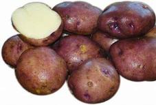 Sangre Seed Potatoes offers at $3.59 in Peavey Mart