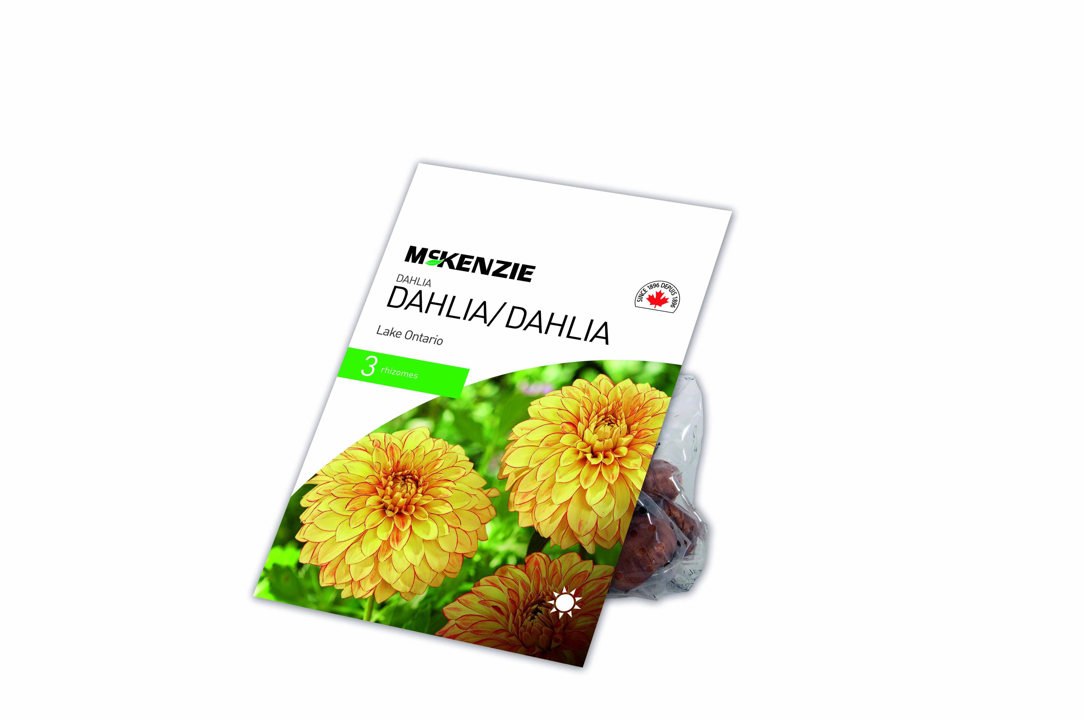 Bulb Dahlia Lake Ontario offers at $4.79 in Peavey Mart