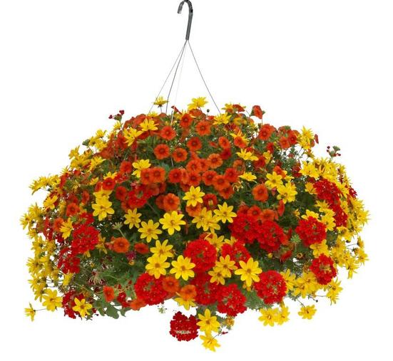 Basket 14" Premium Hanging offers at $26.24 in Peavey Mart