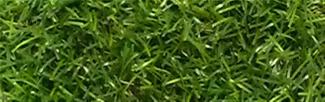 Green Harvest Artificial Turf 1M x 3M offers at $95.99 in Peavey Mart