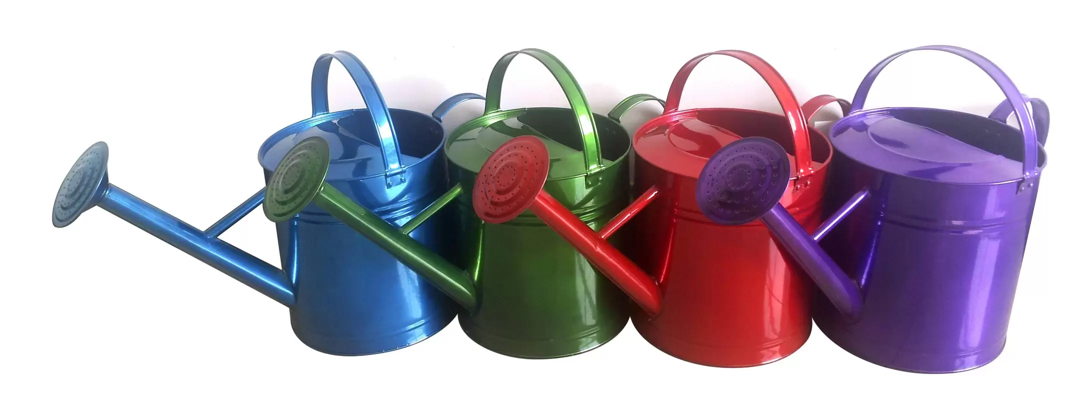 Metal Watering Can offers at $20.99 in Peavey Mart