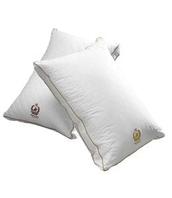 MAISON CONDELLE BEVERLY HILLS POLO CLUB PILLOW (MP10) offers at $24.99 in Beddington's