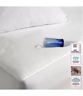 URBAN II - WATERPROOF TERRY MATTRESS PROTECTOR offers at $14.99 in Beddington's