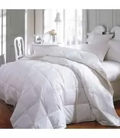 W HOME MICROGEL DUVET (MP4) offers at $79.99 in Beddington's