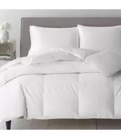 NOIL SILK COTTON DUVET (MP6) offers at $52.49 in Beddington's