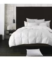 W HOME EUROPEAN DOWN PILLOW (MP6) offers at $41.99 in Beddington's