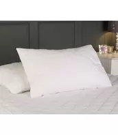 TRIPLE COTTON PILLOW PROTECTOR (12bx) offers at $19.99 in Beddington's