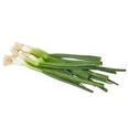 Green Onions offers at $1.29 in Calgary Co-op