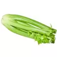 Celery offers at $1.99 in Calgary Co-op