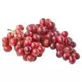 Red Seedless Grapes offers at $5.49 in Calgary Co-op