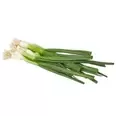 Green Onions offers at $0.99 in Calgary Co-op