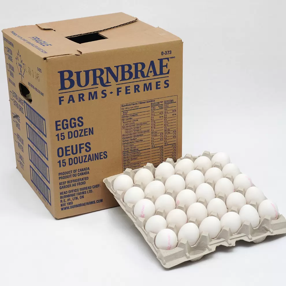 Large White Egg 15 x 12 offers at $55.99 in Mayrand