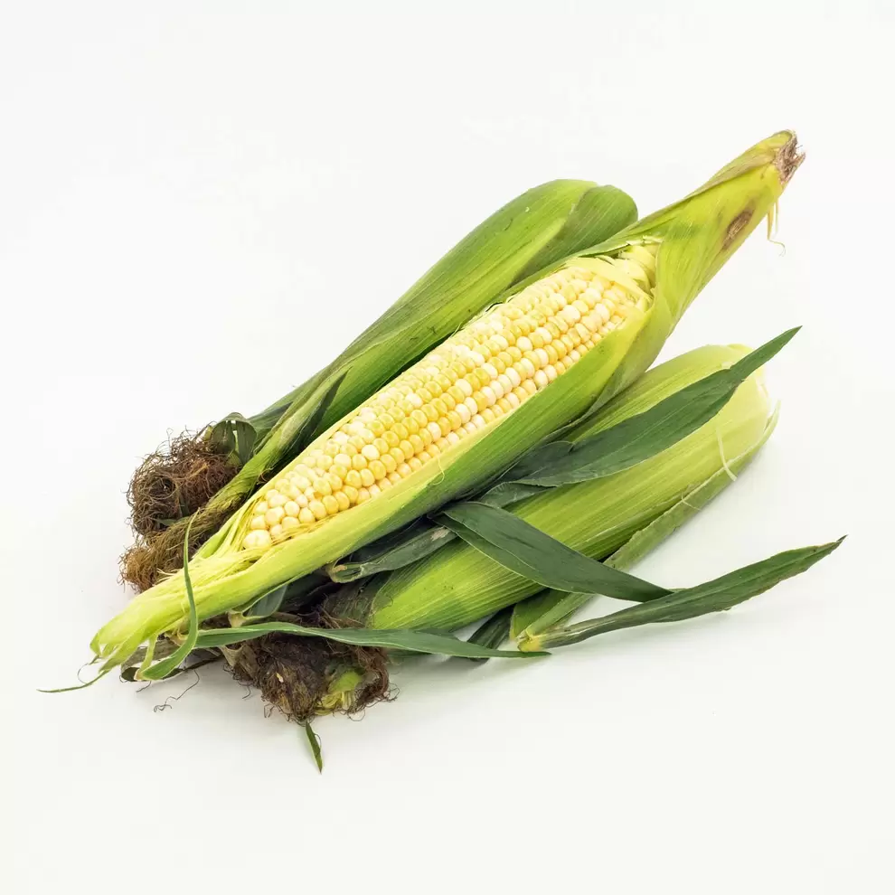 Bicolour Corn x6 offers at $4.99 in Mayrand