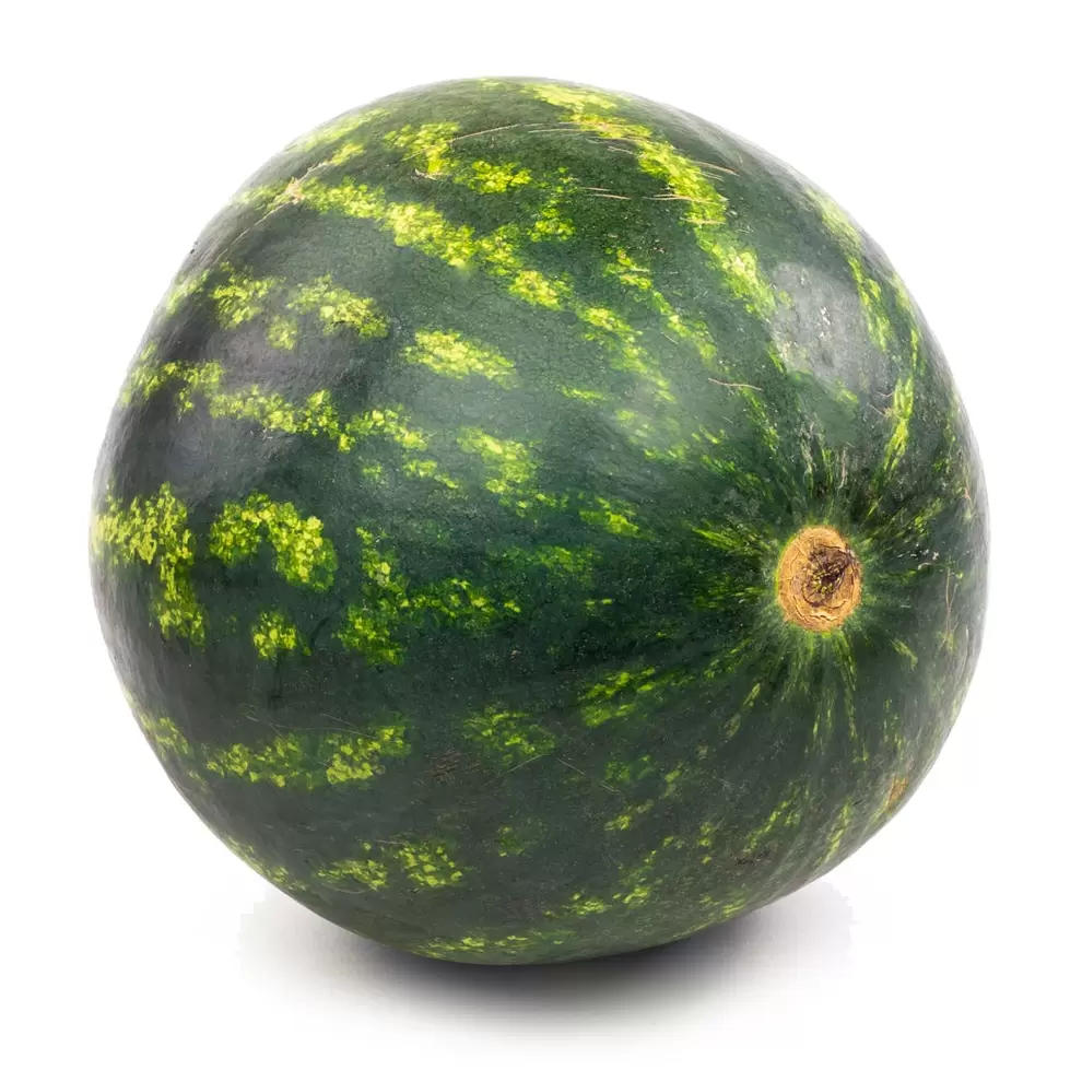 Watermelon offers at $9.99 in Mayrand